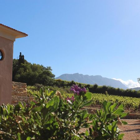 La Bastide - Le Grenache - Le Syrah Au Domaine Chateau Henri Bonnaud Le Tholonet Esterno foto