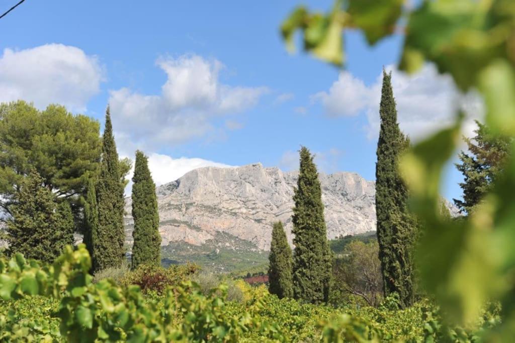 La Bastide - Le Grenache - Le Syrah Au Domaine Chateau Henri Bonnaud Le Tholonet Esterno foto