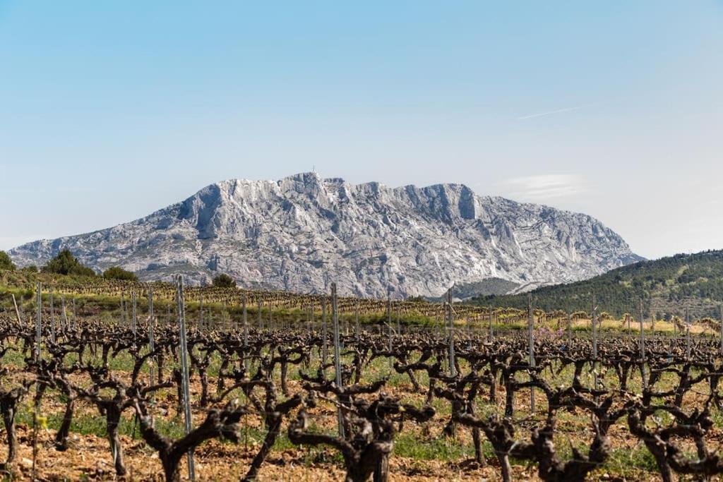 La Bastide - Le Grenache - Le Syrah Au Domaine Chateau Henri Bonnaud Le Tholonet Esterno foto