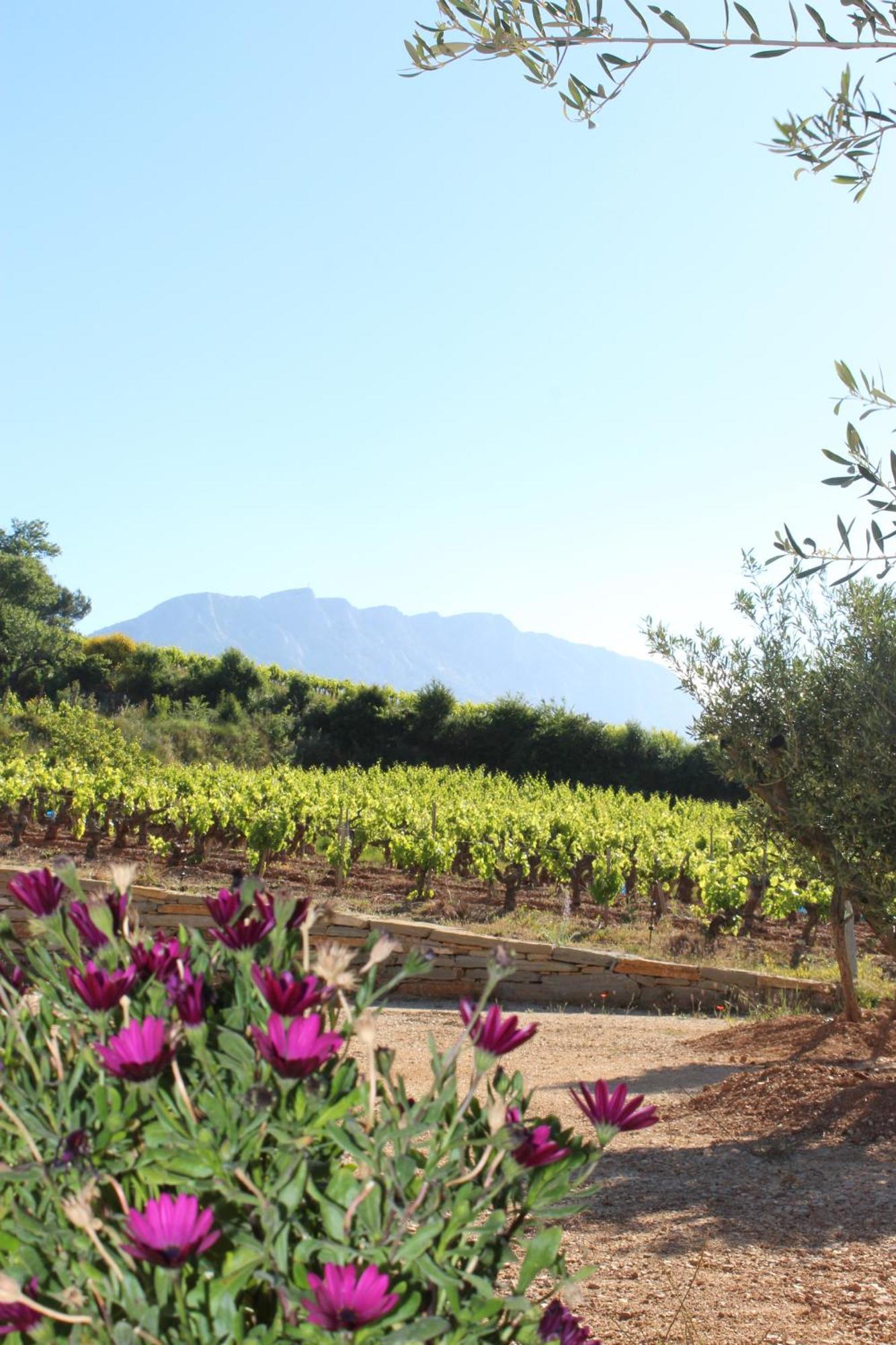 La Bastide - Le Grenache - Le Syrah Au Domaine Chateau Henri Bonnaud Le Tholonet Esterno foto