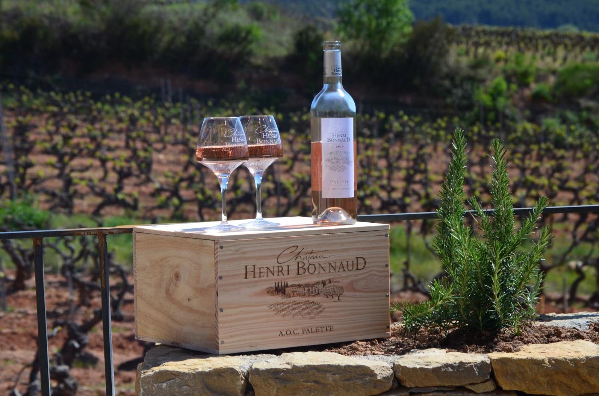 La Bastide - Le Grenache - Le Syrah Au Domaine Chateau Henri Bonnaud Le Tholonet Esterno foto
