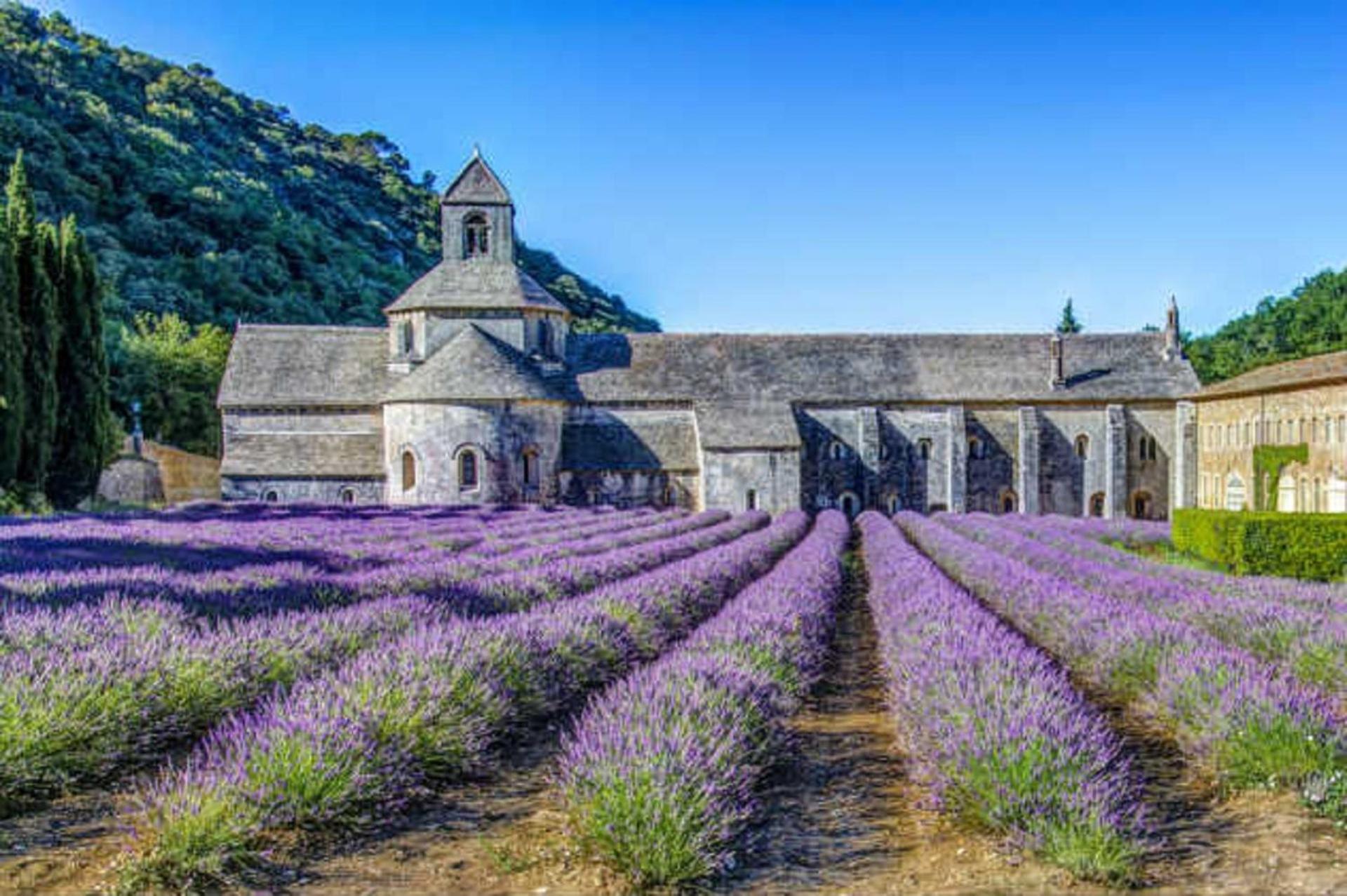 La Bastide - Le Grenache - Le Syrah Au Domaine Chateau Henri Bonnaud Le Tholonet Esterno foto